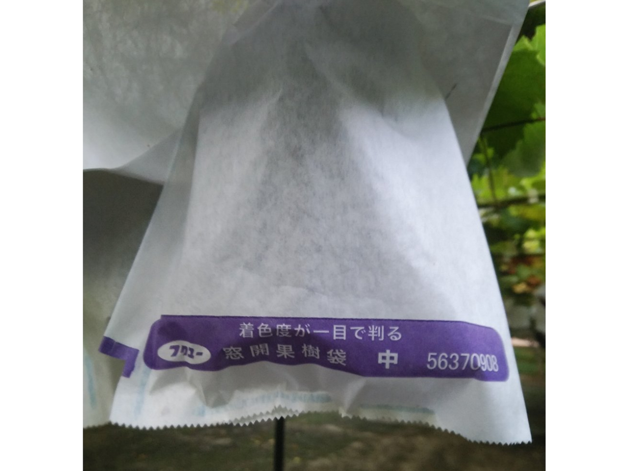 �Ԃǂ��͑܂ɓ����Ă��܂����A�������Ă��Ē���������悤�ɂȂ��Ă��܂��B