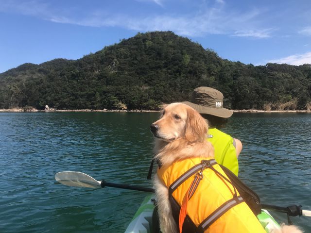 わんちゃんも一緒に体験できます。専用のライフジャケットもご用意しています♪