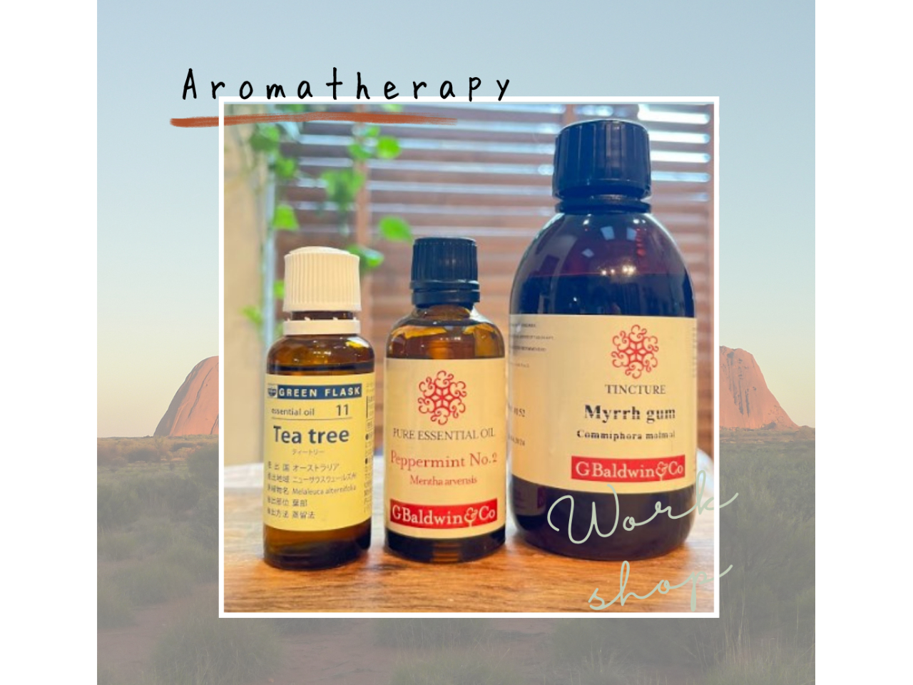 Ȑ͈S̃HhECЂƂȂ܂BY̓O[tXRЂ̐gpĂ܂B