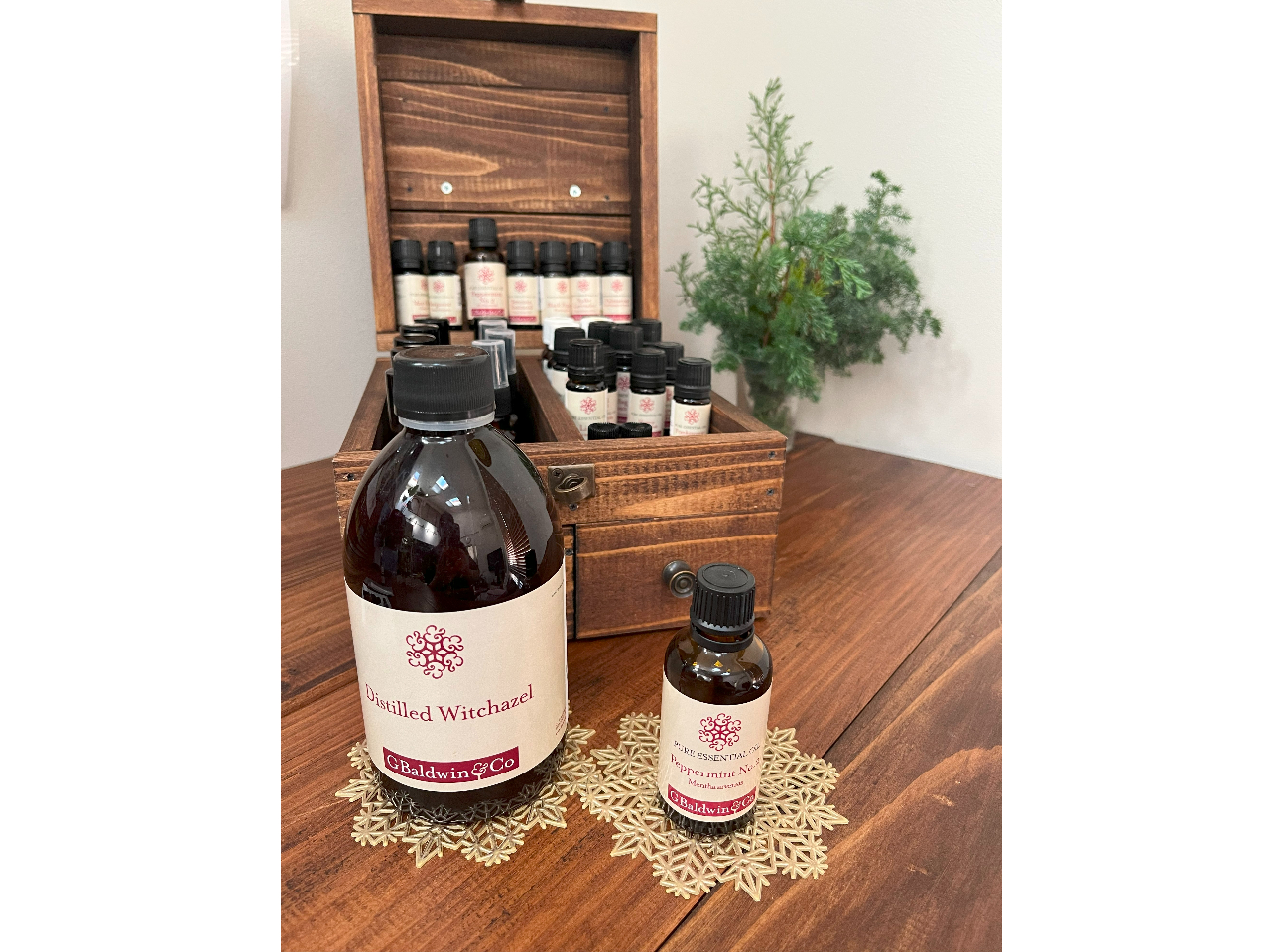 CMX180N̗jBaldwinBĂ鍁y݂B