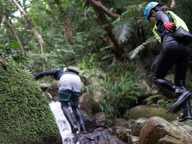 �W�����O���̒���`����