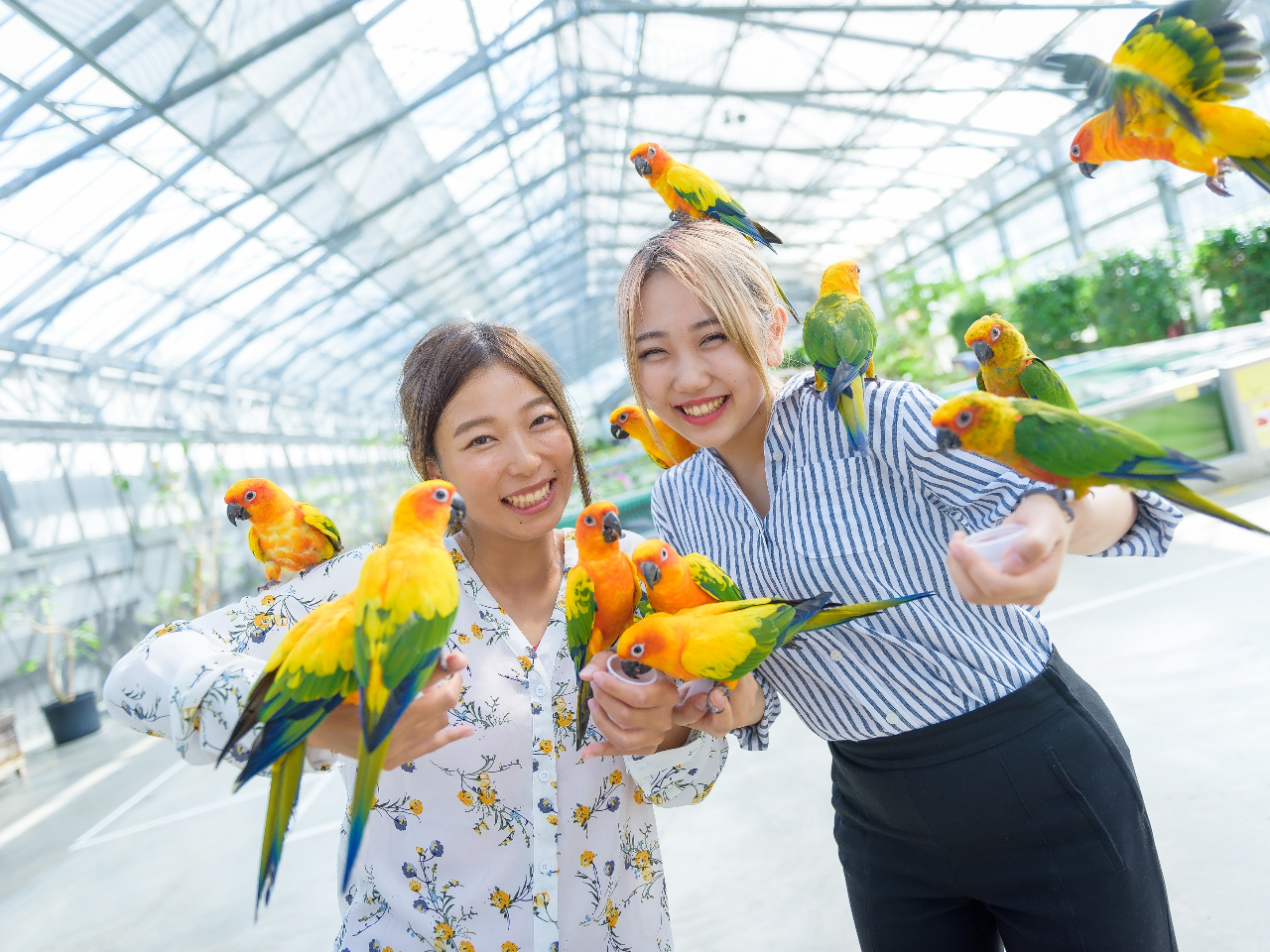 掛川駅周辺の観光スポットランキングtop10 じゃらんnet 掛川駅周辺の観光スポットランキングtop10 じゃらんnet