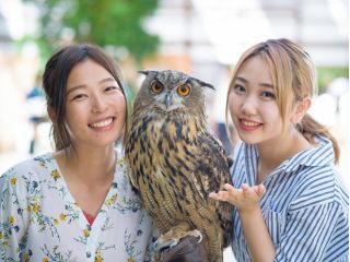 入園チケット かわいい鳥たちと距離0の楽しさ ファミリー カップルにおすすめ 掛川花鳥園 じゃらん遊び体験 入園チケット かわいい鳥たちと距離0の楽しさ ファミリー カップルにおすすめ 掛川花鳥園 じゃらん遊び体験