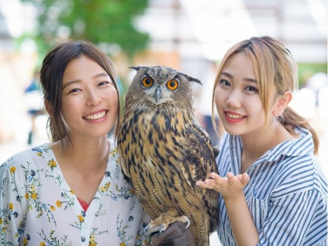 入園チケット かわいい鳥たちと距離0の楽しさ ファミリー カップルにおすすめ 掛川花鳥園 じゃらん遊び体験 入園チケット かわいい鳥たちと距離0の楽しさ ファミリー カップルにおすすめ 掛川花鳥園 じゃらん遊び体験