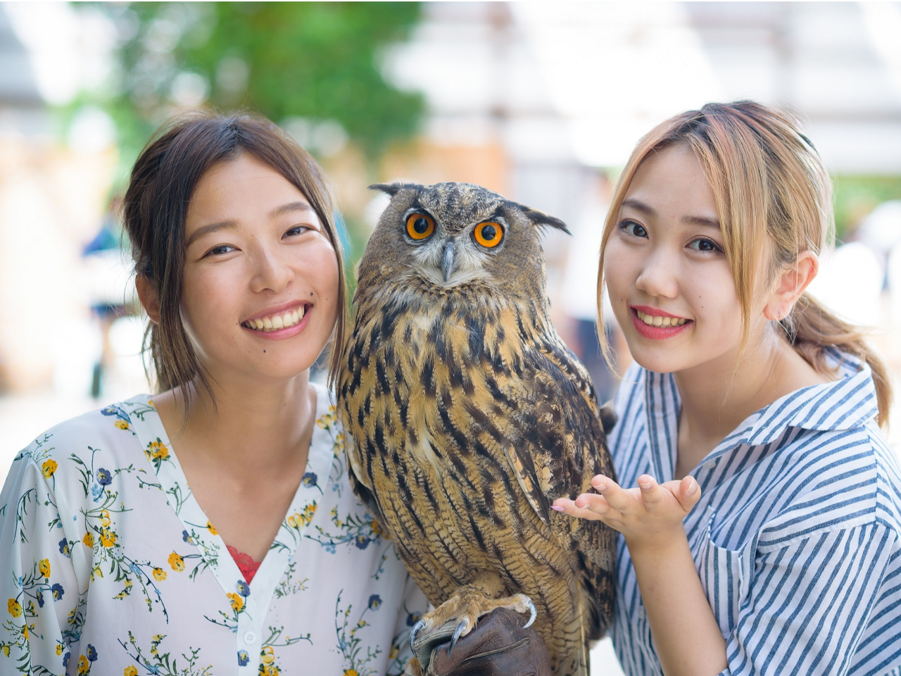入園チケット】鳥たちと距離0で楽しむ感動体験＜静岡・掛川
