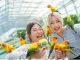 掛川花鳥園では広い園内を鳥たちが自由に飛び交います。人懐こい鳥たちにごはんをあげたり、触れ合いを楽しみましょう。