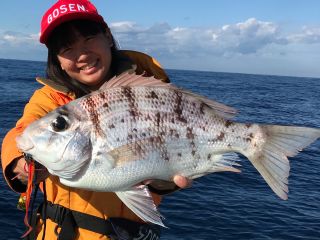 高級魚!メイチダイ