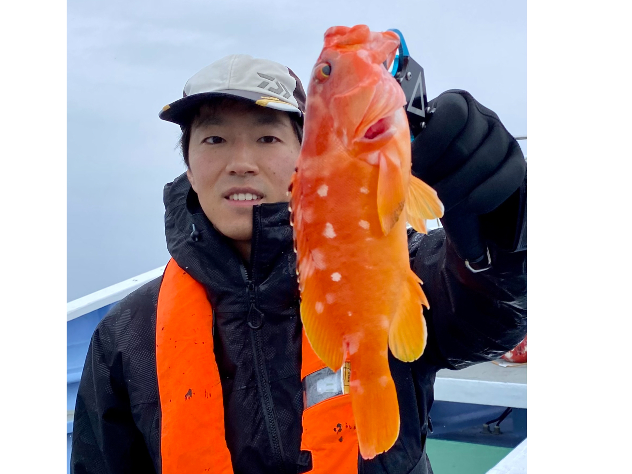 FN₩ȃAJn^!i( ÓO)