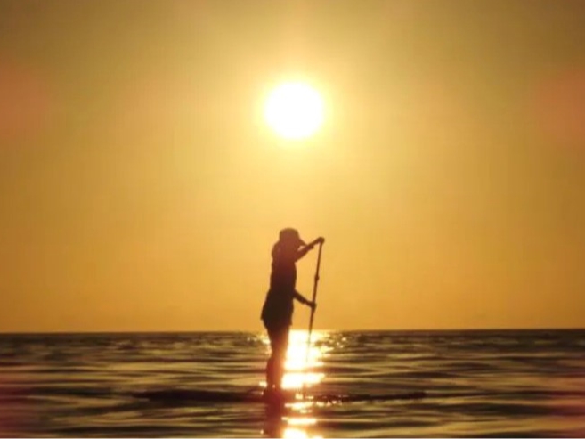 Sn悢A_Ƃ炷BIWFɐ܂CB