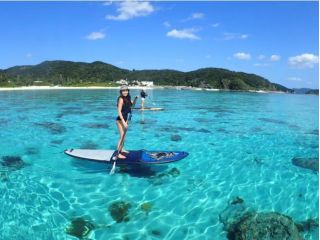 透明度の高い座間味の海をSUPで遊び尽くす!