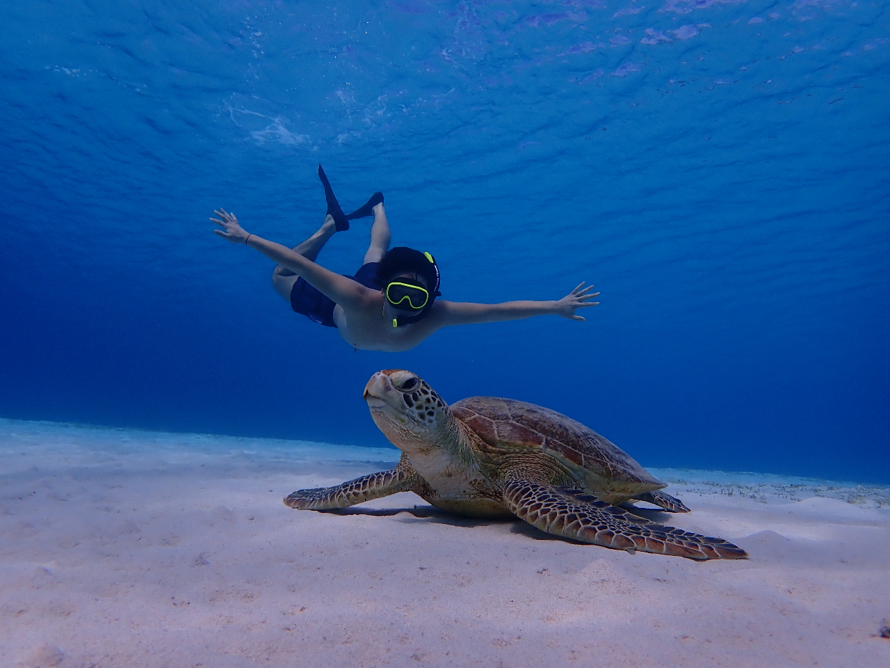 沖縄・座間味】《写真撮影付き》 SUP＆シュノーケル！プライベート感覚