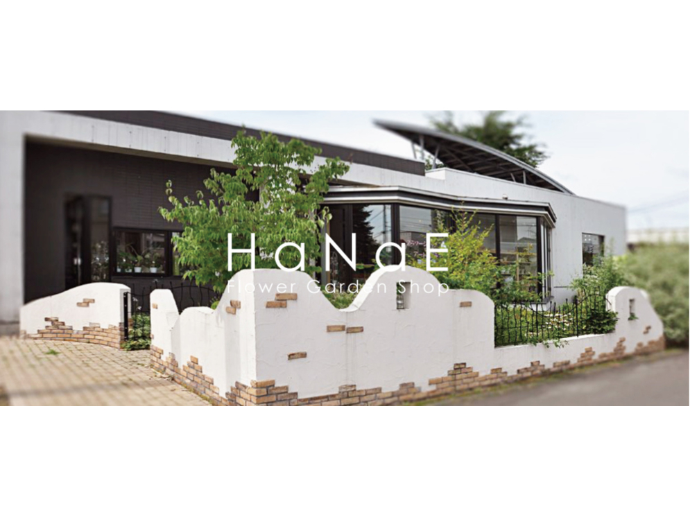 手ぶらOK!*ドライフラワーでスワッグ作り体験*旭川