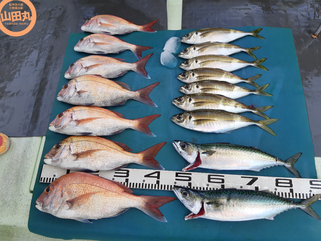 2022/8@Ɖċxݒ̑q̒މʂłI