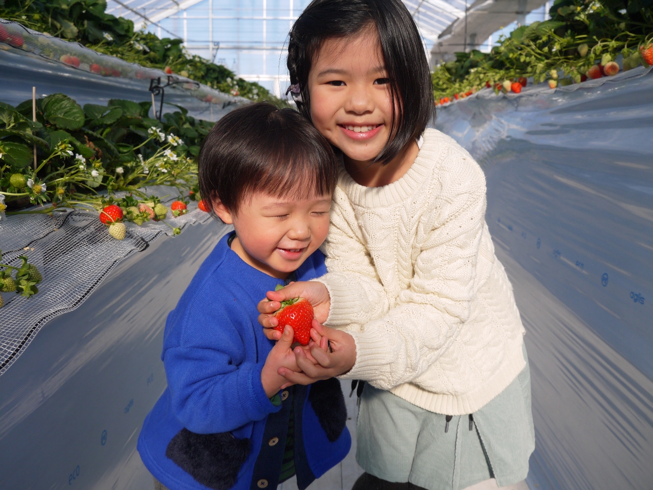 �n���̃X�^�b�t�𒆐S�ɒ��J�Ɉ�Ă��������ł���