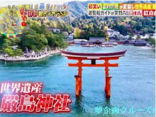 TVにも採用された ドロ−ン映像です。 思い出作りをお手伝いします。