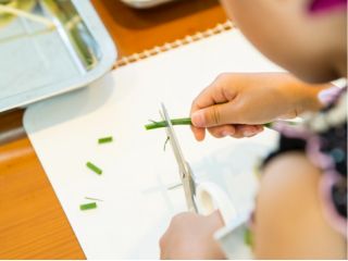 オンライン体験 8 3 火 夏休みスペシャル 子どもと簡単ランチ チャーハン ママと子供の食育料理教室 ふくふく じゃらん遊び体験 オンライン体験 8 3 火 夏休みスペシャル 子どもと簡単ランチ チャーハン ママと子供の食育料理教室 ふくふく じゃらん遊び体験