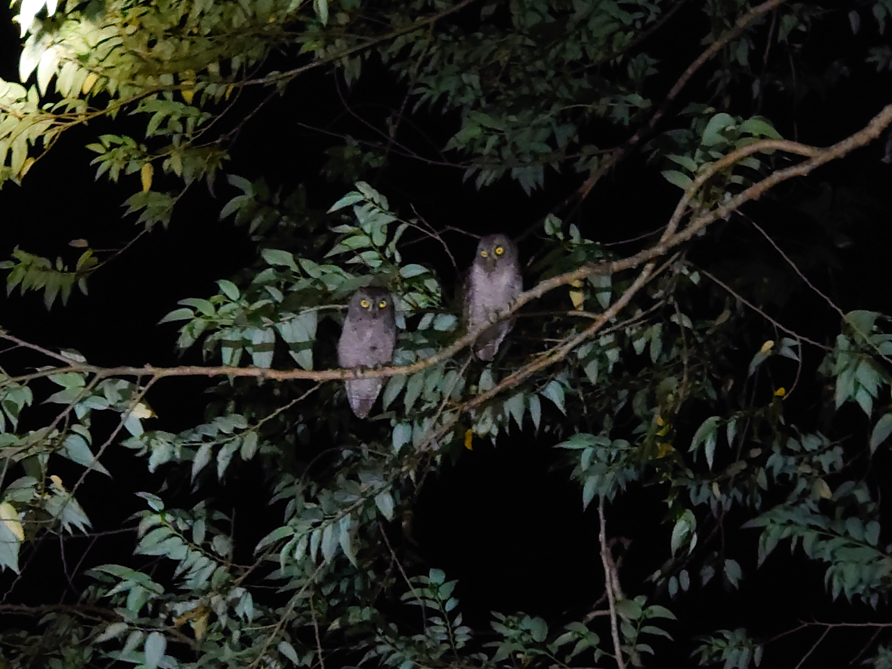 ؁XɈ͂܂ꂽꏊƌɂI