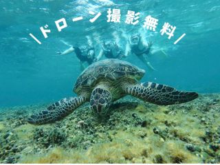 高確率で遭遇ができちゃうシュノーケリング体験!!