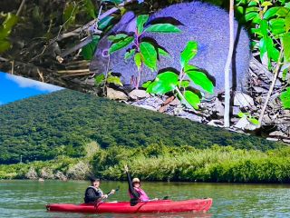 マングローブカヌーとナイトツアーで奄美大島の大自然を満喫できるプラン