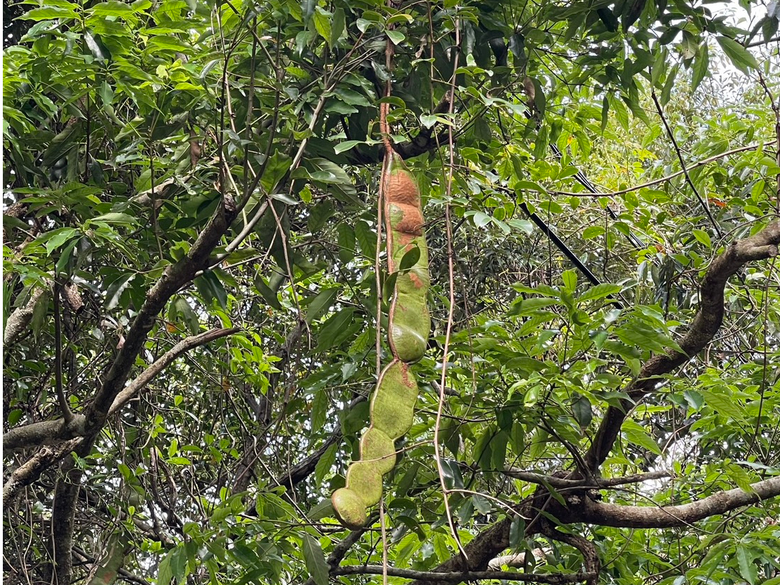 ̖O̓X^btɕĂ݂ĂˁII