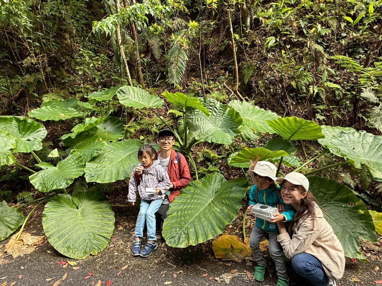 llEJbvEFlEƑEc̗l劽}IIII