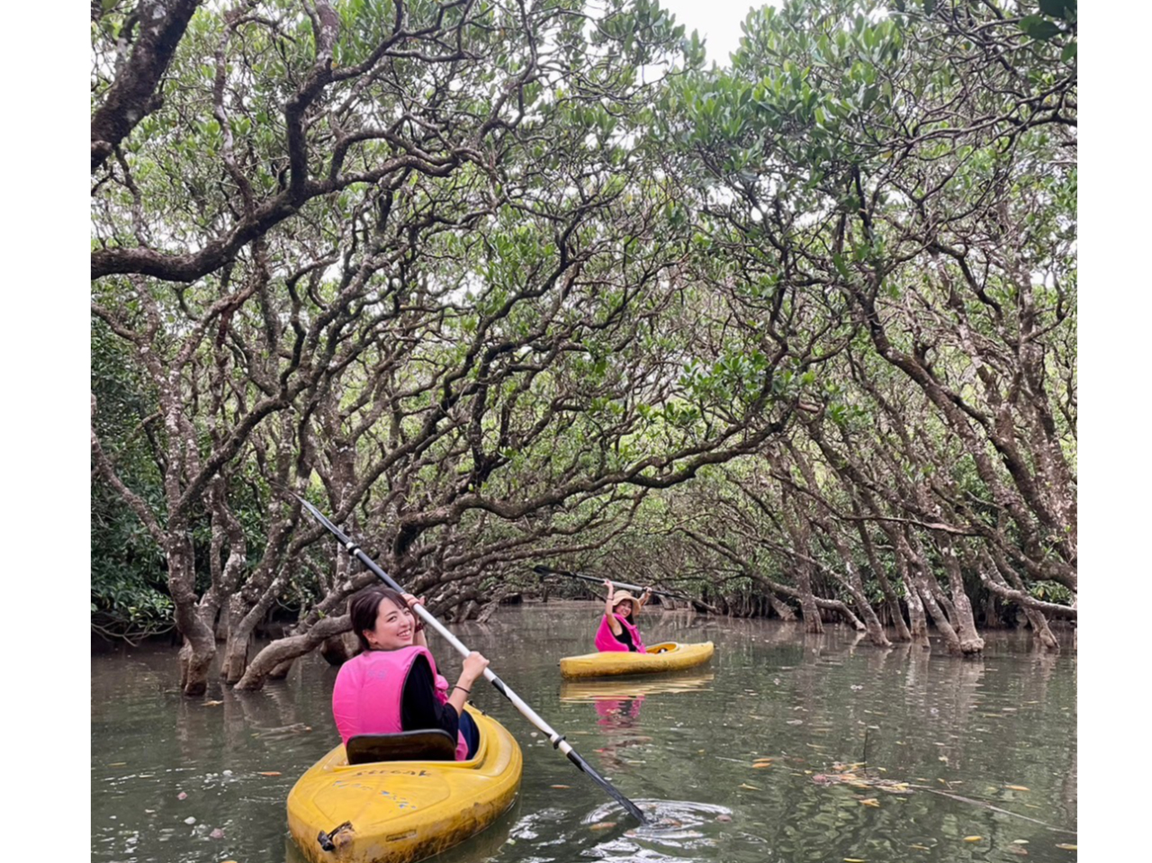 日常では見慣れない風景♪
