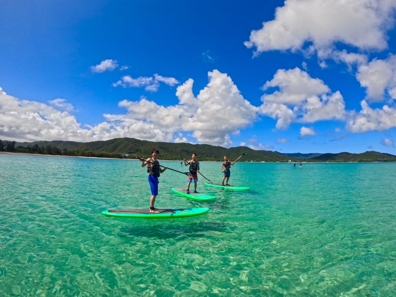 llEJbvEFlEƑEc̗lҌII