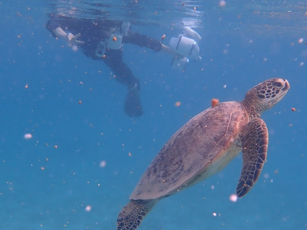 pIł̓E~KɉȂǁcŉ!!