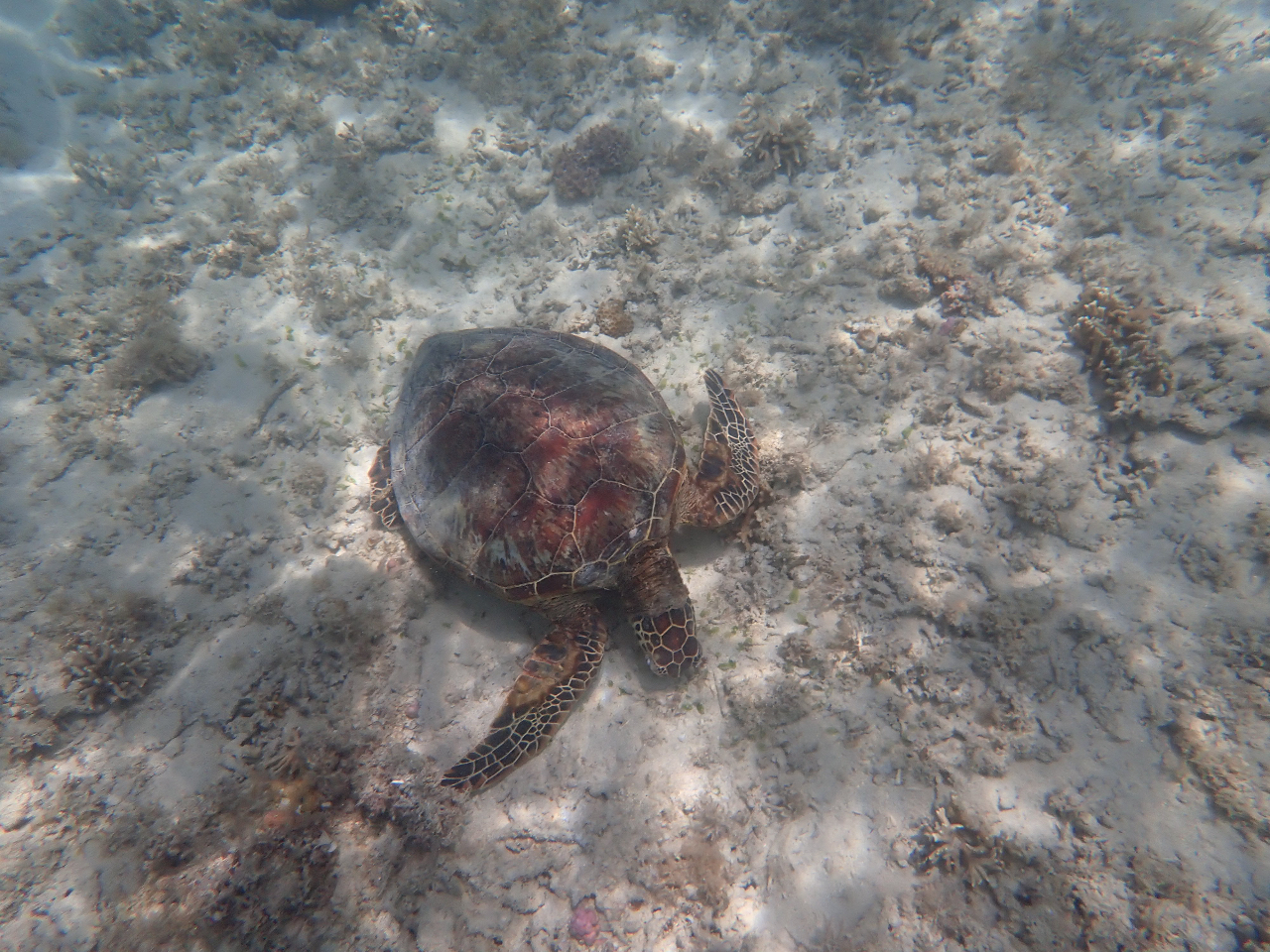 E~K͂HĂ܂BW}͂ȂłˁI