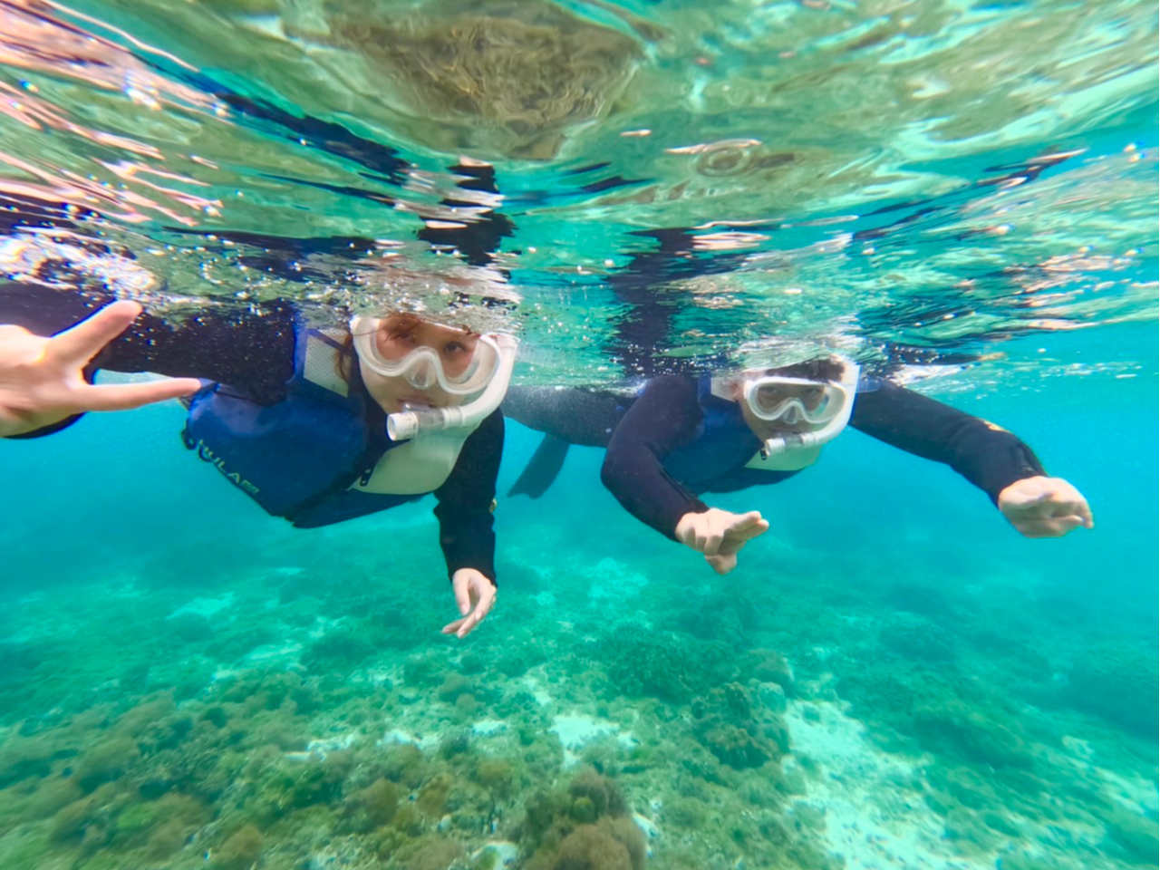 奄美サイコー^▽^