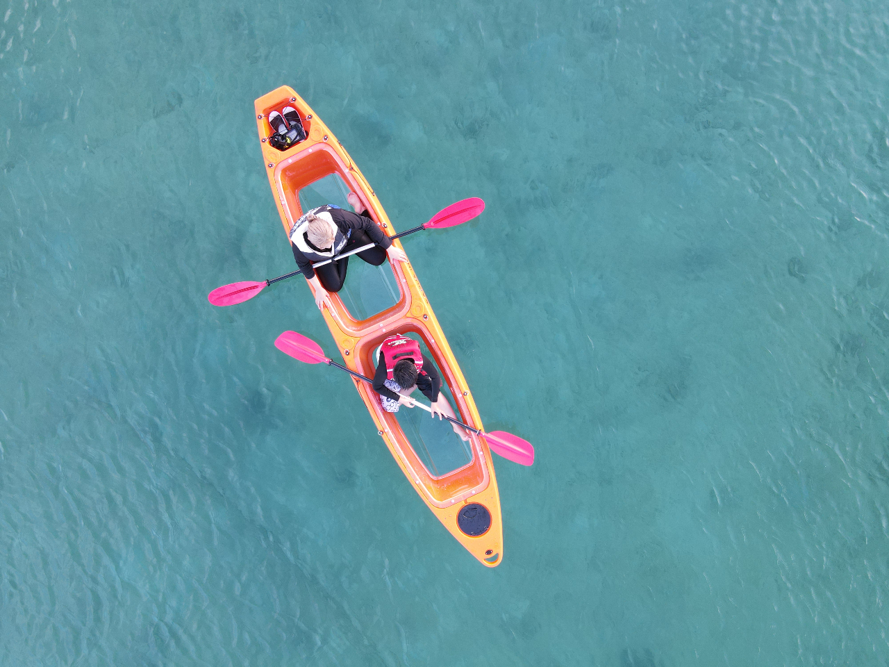 泳がずに水中観察♪
