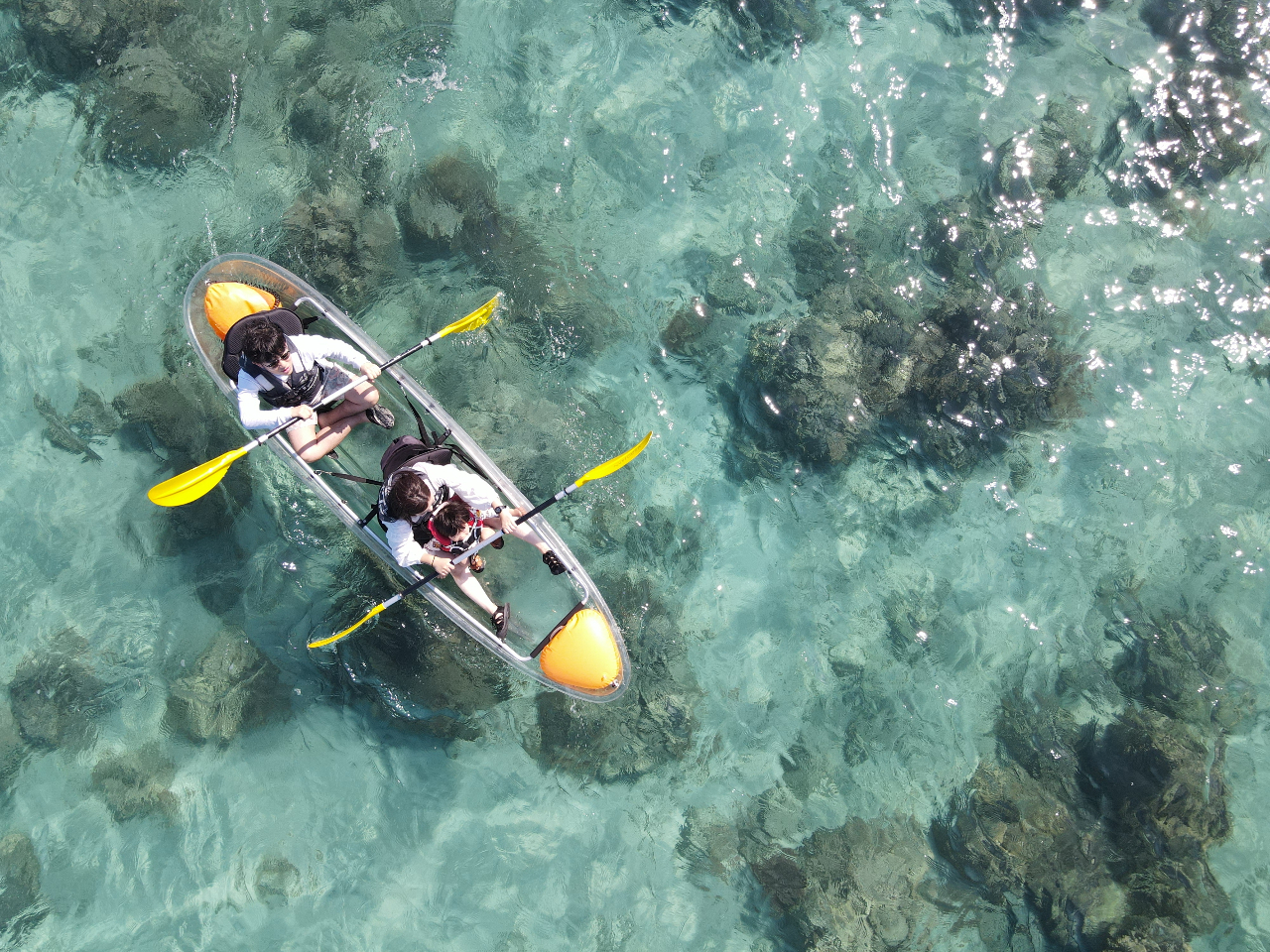 底が透け透けのクリアカヤック!!