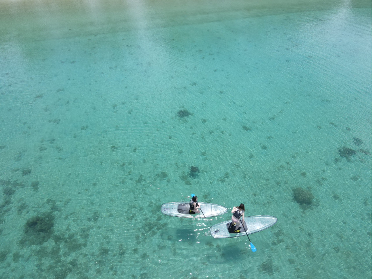 lC̃NASUPIꂪŊC̒Ⴂ܂