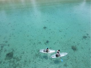 人気のクリアSUP!底が透け透けで海の中が見えちゃいます☆