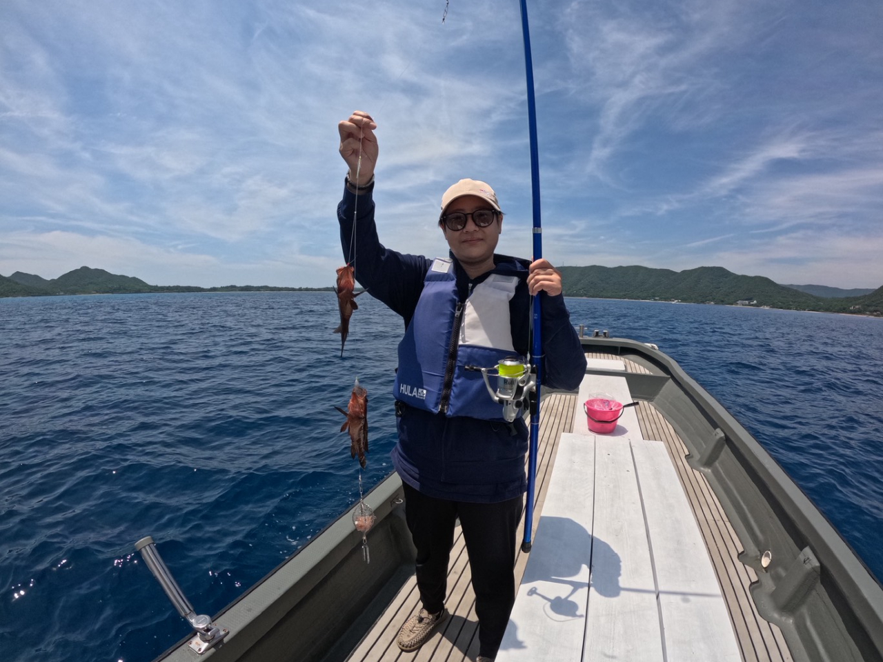 ^̃n^ނLxȃGT߂đ^V̎pI