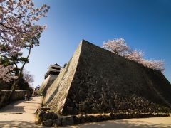 石垣の歴史なども知ることが出来ます。