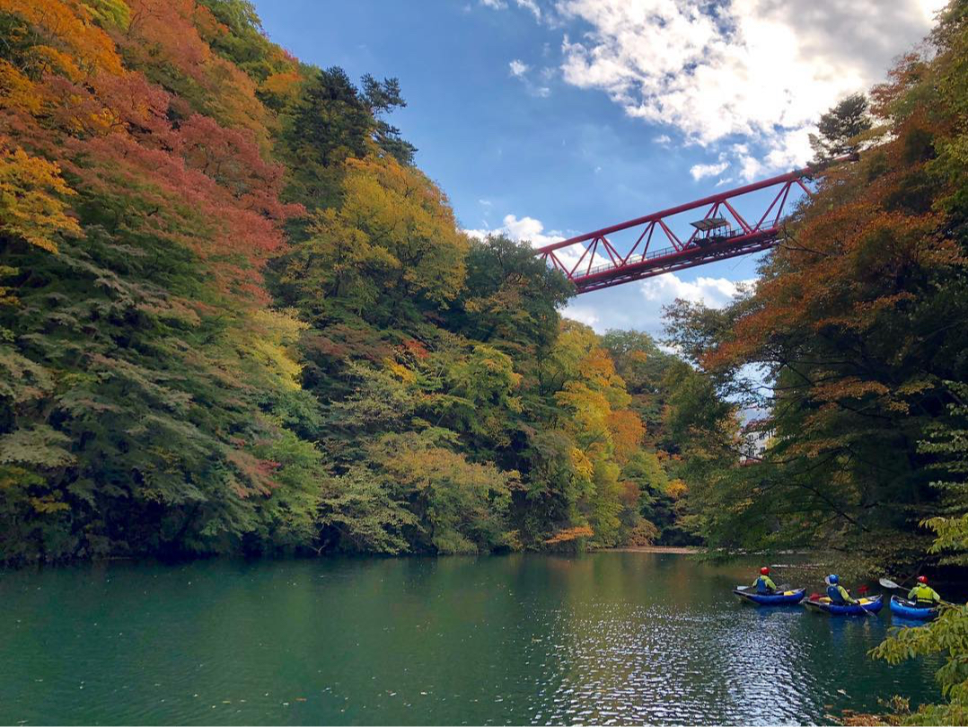 秋は紅葉カヤックが楽しめます