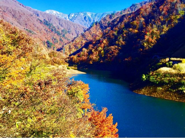 紅葉シーズンはまさに絶景♪