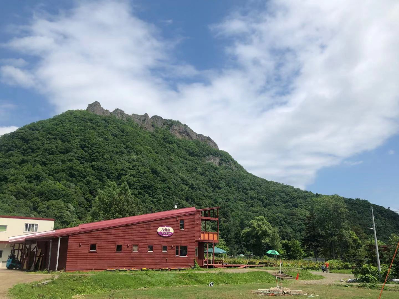 貸切タクシー 八剣山ワイナリー 藤野ワイナリー 食事付 旅だるま じゃらん遊び体験