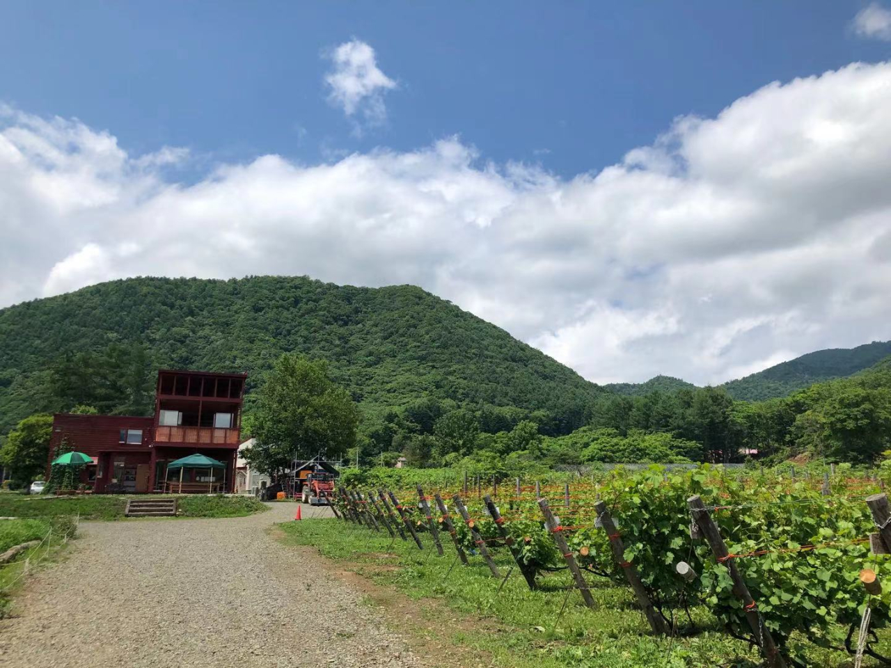 貸切タクシー 八剣山ワイナリー 藤野ワイナリー 食事付 旅だるま じゃらん遊び体験