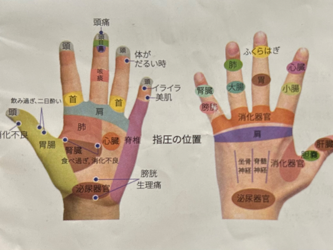 ��̃c�{�ɃA�v���[�`!!