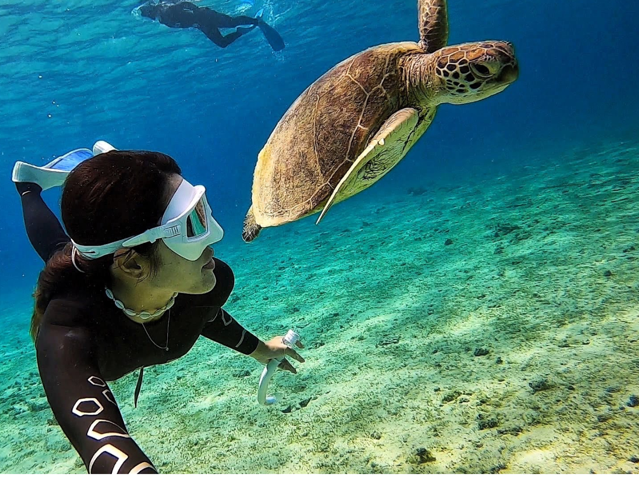 透明度抜群の奄美のビーチからウミガメを探したり、浅瀬のサンゴを観察出来る大人気のビーチツアーです。
ウミガメを見たい方はその旨ご連絡下さい。遭遇率の高いポイントにご案内します。
各種レンタル無料!!