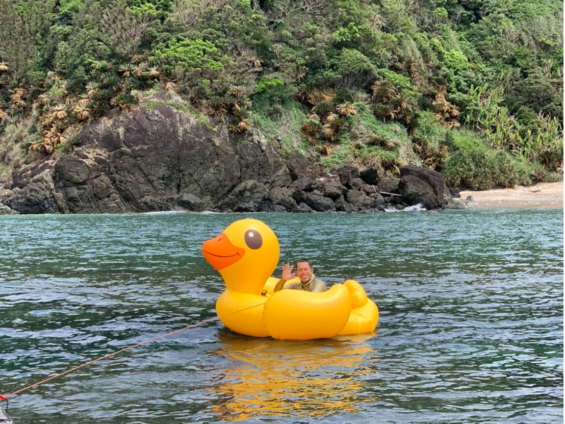 ւpӂĂ܂BjR[Ap}AJ[Y܂B