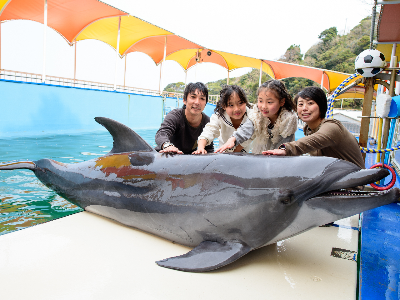 鳥羽湾めぐりとイルカ島の口コミ一覧 じゃらんnet 鳥羽湾めぐりとイルカ島の口コミ一覧 じゃらんnet