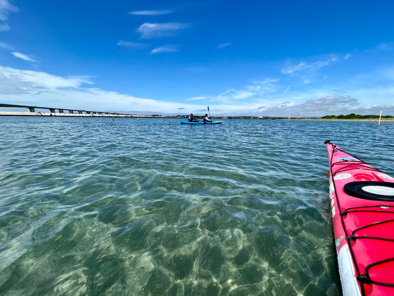 XcA[tB[h͕l΂̒łʊi̓xł܂II