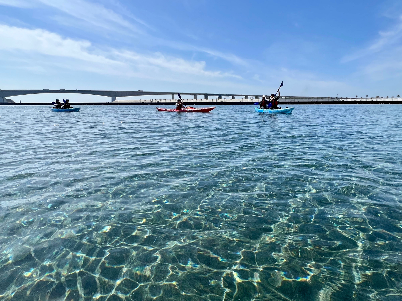 X̃cA[tB[h͕l΂̒łʊi̓xIDłȂ̂ŁAn̐lmȂV[Nbg|CgȂłB܂ɔ̕iB