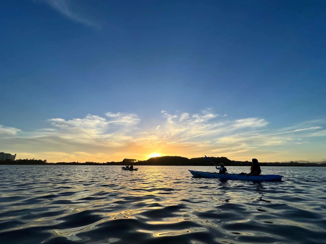 KChBeʐ^͖v[gIy̎voT|[gĒ܂B