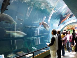 四万十川に近い松野町 おさかな館 水族館 入館 ガラス工房でサンドブラスト体験 アークリード じゃらん遊び体験 四万十川に近い松野町 おさかな館 水族館 入館 ガラス工房でサンドブラスト体験 アークリード じゃらん遊び体験