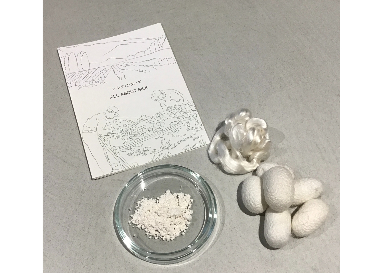 �V���N�̐����ƒ��ӓ_�����b���܂��B