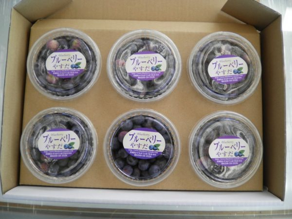 rbgACnlߍ킹̔̔܂@16pbN@1,500~